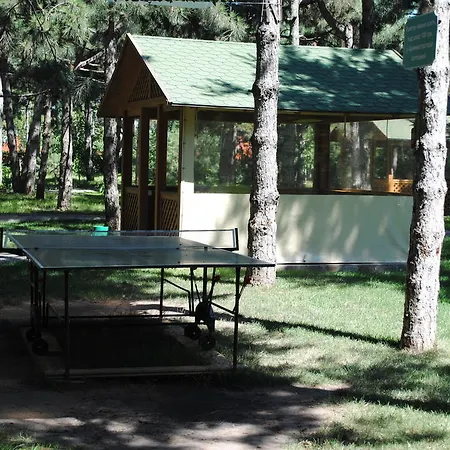 Tatil parkı Kompleks Otdykha Elki-palki 3*