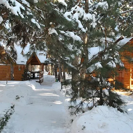 Kompleks Otdykha Elki-palki Tatil parkı