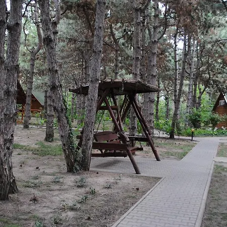 Kompleks Otdykha Elki-palki Tatil parkı Odessa