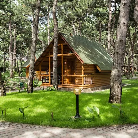 Kompleks Otdykha Elki-palki 3*