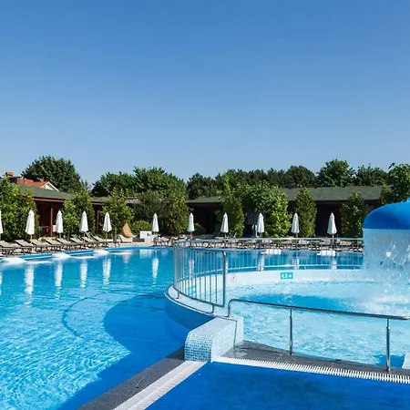 Tatil parkı Kompleks Otdykha Elki-palki Odessa